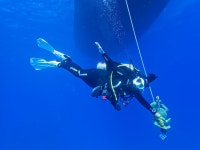 Magic Life Divers - Review of TUI MAGIC LIFE Kalawy, Safaga, Egypt - Tripadvisor