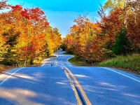 Fell in Love with Door County - Review of Pheasant Park Resort, Sister Bay, WI - Tripadvisor