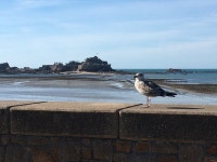 Back to jersey after 44 years - Review of Pomme dOr Hotel, St. Helier, Jersey - Tripadvisor