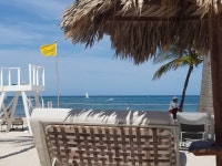 Friendly all-inclusive vacation in style! - Review of Zel Punta Cana, Bavaro, Dominican Republic - Tripadvisor