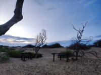 Jetwing Yala - Highly recommend. - Review of Jetwing Yala, Palatupana, Sri Lanka - Tripadvisor