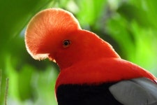 Private Coffee Tour in Jardín Antioquia (with Reviews)