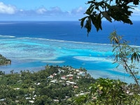 A dream come true - Review of Hilton Moorea Lagoon Resort & Spa, Papetoai, French Polynesia - Tripadvisor