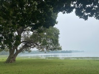 Excellent Service - Review of Amaya Lake, Kandalama, Sri Lanka - Tripadvisor