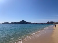Can’t wait to return - Review of Hotel Riu Palace Cabo San Lucas, Cabo San Lucas, Mexico - Tripadvisor