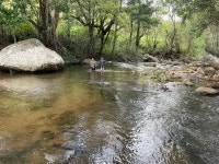 Hidden gem in BelihulOya! Fantastic place to relax by nature. - Review of The Forestry Camps, Belihuloya, Sri Lanka - Tripadvisor