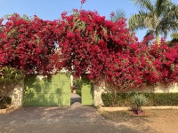 Good base for the Reserve - Review of Ranthambhore Heritage Haveli, Sawai Madhopur, India - Tripadvisor