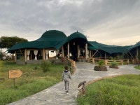 Amazing 3 nights stay at Mara Maisha Masai Mara camp - Review of Mara Maisha Camp, Maasai Mara National Reserve, Kenya... 