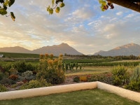 Beautiful peace and quiet with great views - Review of Rijks Wine Estate & Hotel, Tulbagh, South Africa - Tripadvisor