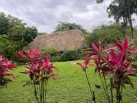 Can’t go wrong with Sleeping Giant - Review of Sleeping Giant Rainforest Lodge, Belmopan, Belize - Tripadvisor