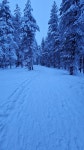 Magical - Review of Lapland Hotels Sky Ounasvaara, Rovaniemi, Finland - Tripadvisor Magical  - Review of Lapland Hotels Sky... 