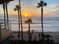 Perfection - Review of Pacific Terrace Hotel, San Diego, CA - Tripadvisor