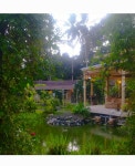 Eco Petulu Bird Sanctuary And Cafe - 레스토랑 리뷰 - 트립어드바이저