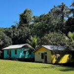 You might learn something here! - Review of Toucan Ridge Ecology & Education Society (T.R.E.E.S.), Middlesex, Belize - Tripadvisor