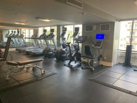 Great staff and amenities - Review of Kimpton Hotel Palomar Los Angeles Beverly Hills, Los Angeles, CA - Tripadvisor