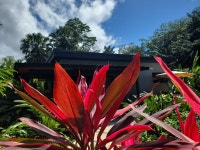 Wow... - Review of Noahs Forest by Tifakara, La Fortuna de San Carlos, Costa Rica - Tripadvisor