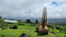 A Hidden Gem near Turrialba - Review of Guayabo Lodge, Santa Cruz, Costa Rica - Tripadvisor A Hidden Gem near Turrialba  - Review... 