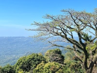 Memorable Experience - Review of Taal Vista Hotel, Tagaytay, Philippines - Tripadvisor