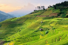 2026 Hiking Fansipan in 1 day (Sapa) - with Trusted Reviews