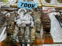 Ideal for beach - Review of Senorita Boutique Hotel, My An, Vietnam - Tripadvisor