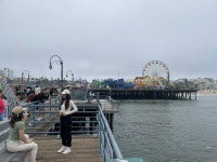Well Done - Review of Shore Hotel, Santa Monica, CA - Tripadvisor