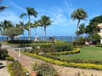 Check this place out - Review of Bedarra Beach Inn, Korotogo, Fiji - Tripadvisor