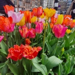 Amsterdam cheeky weekend break - Review of Hotel Pontsteiger, Amsterdam, The Netherlands - Tripadvisor Amsterdam cheeky weekend... 