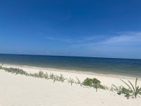 I want to live here. - Review of Waldorf Astoria Cancun, Cancun, Mexico - Tripadvisor I want to live here.  - Review of Waldorf... 