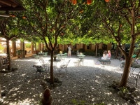 Paradise in Rome - Review of Hotel Santa Maria, Rome, Italy - Tripadvisor