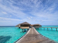 최고의 풍경, 맛있는 식사, 친절한 직원들이 기다리고 있는 지상 최후의 낙원 바카루 - Vakkaru Maldives, Vakkaru의 리뷰 - 트립어드바이저