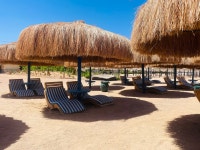 best hotel for family - Review of Sea Beach Aqua Park Resort Managed By Blue Resorts, Nabq Bay, Egypt - Tripadvisor