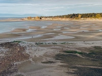Exquisite! - Review of Bayside Resort Parksville, Ascend Hotel Collection, Parksville, British Columbia - Tripadvisor