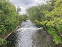 OUTSTANDING - Review of Ash Farm Country Guest House, Altrincham, England - Tripadvisor