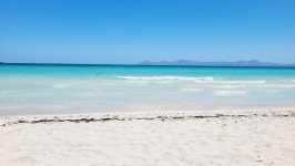 Returning again in June 2023 - Review of Hotel Ivory Playa, Alcudia, Spain - Tripadvisor