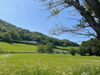 Almost perfect… - Review of Harbour Beach Club Hotel & Spa, Salcombe, England - Tripadvisor