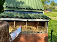 Amazing glamping stay - Review of Ty Uchaf Farm Glamping, Caergwrle, Wales - Tripadvisor