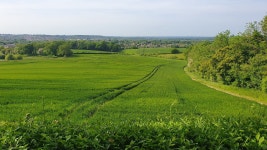 2 nights friends break away - Review of The Hogs Back Hotel & Spa Farnham, Farnham, England - Tripadvisor 2 nights friends break... 