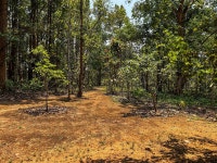 Nature, Bonhomie, Conversations, and Conservation! - Review of Salban - the Kanha Homestay, Kanha National Park, India - Tripadvisor