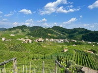 Perfect hotel with the best staff - Review of Agriturismo Due Carpini, Valdobbiadene, Italy - Tripadvisor