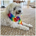 Unparalleled Pampering, Access to Elegance, Heaven-on-Earth - Review of 2W Lake B&B, Skaneateles, NY - Tripadvisor