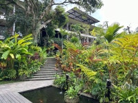 Amazing Stay in Ubud - Review of Adiwana Suweta, Ubud, Indonesia - Tripadvisor