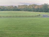 This place has lost its way ! - Review of Mount Falcon Estate, Ballina, Ireland - Tripadvisor