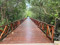 Amazing! - Review of Platinum Yucatan Princess Adults Only, Playa del Carmen, Mexico - Tripadvisor