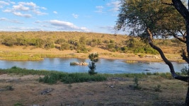 The Best Bush Break By Far - Review of Nyati Safari Lodge, Hoedspruit, South Africa - Tripadvisor