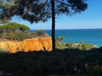 Pine cliffs in the arlgave a stunner! - Review of Pine Cliffs Ocean Suites, A Luxury Collection Resort & Spa, Albufeira, Portugal... 