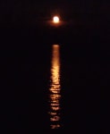 Wonderful stay at PIB. Lakefront Condo #207 - Review of Put-in-Bay Condos, Put in Bay, OH - Tripadvisor