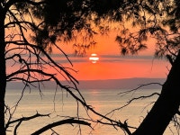 Fantastic chilled holiday - Review of Alexander The Great Beach Hotel, Kriopigi, Greece - Tripadvisor Fantastic chilled holiday... 