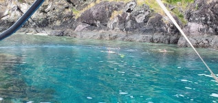Musket cove Fiji - Review of Musket Cove Island Resort & Marina, Malolo Lailai Island, Fiji - Tripadvisor