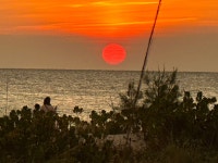Piece of Paradise! - Review of Zota Beach Resort, Longboat Key, FL - Tripadvisor