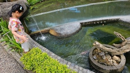 애니멀가든에서의 추억 - Review of Padma Resort Ubud, Puhu, Indonesia - Tripadvisor